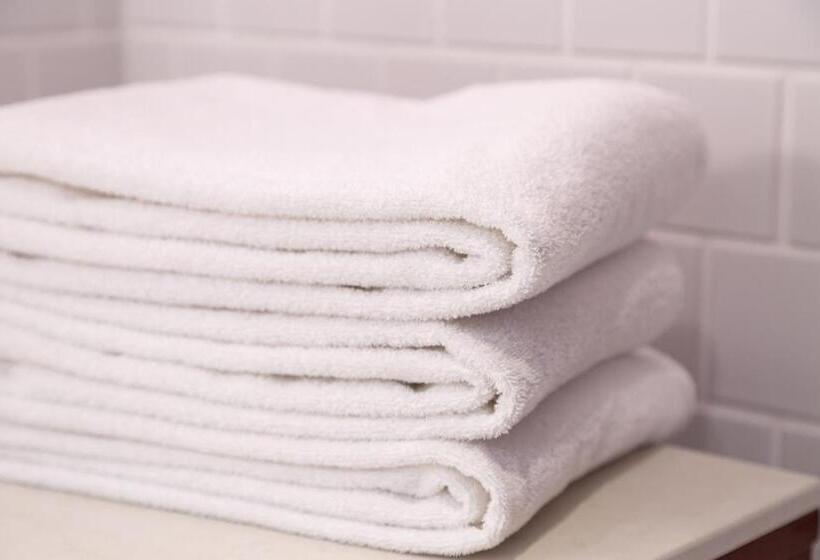 带城市景观的高级房间, Premier Hotel Mojiko