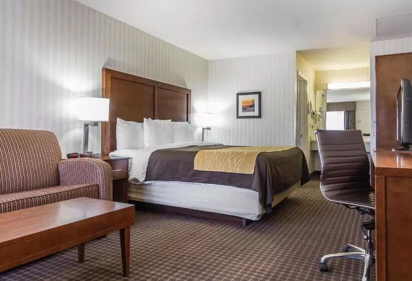 キングサイズベッドのスタンダードルーム, Quality Inn Half Moon Bay Miramar Beach
