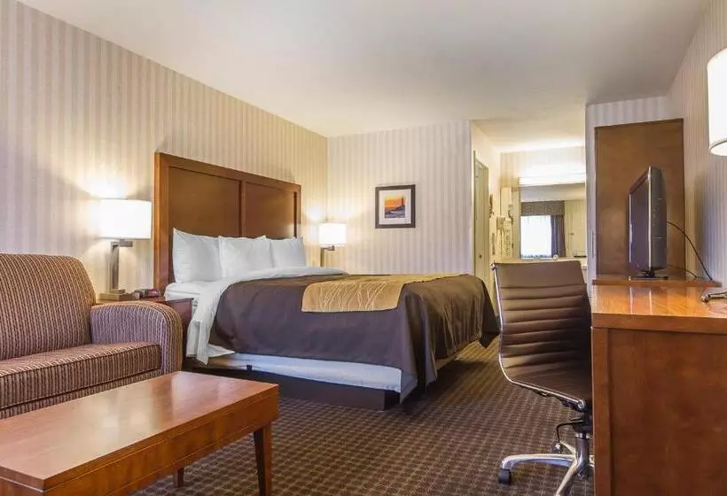 キングサイズベッドのスタンダードルーム, Quality Inn Half Moon Bay Miramar Beach