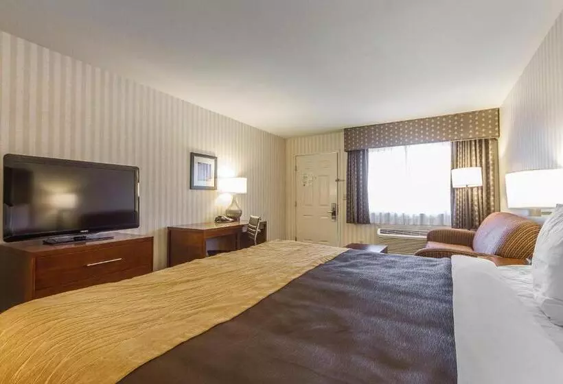 キングサイズベッドのスタンダードルーム, Quality Inn Half Moon Bay Miramar Beach