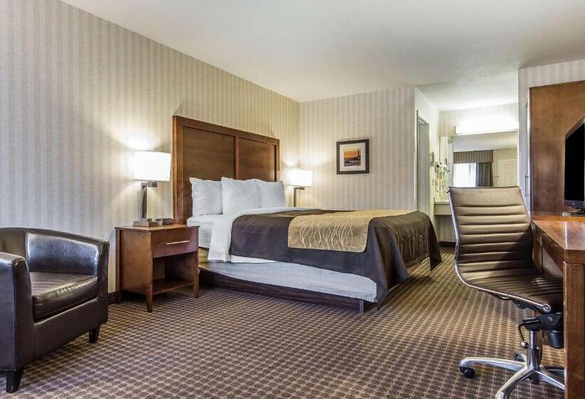 스탠다드 룸 킹사이즈 침대, Quality Inn Half Moon Bay Miramar Beach