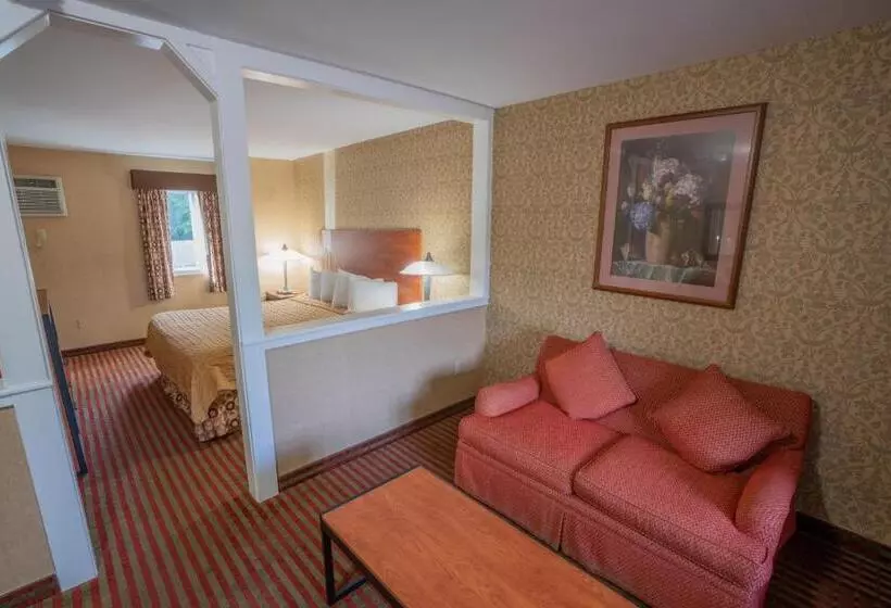 キングサイズベッドのスイートルーム, All Seasons Inn & Suites