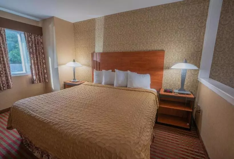 キングサイズベッドのスイートルーム, All Seasons Inn & Suites