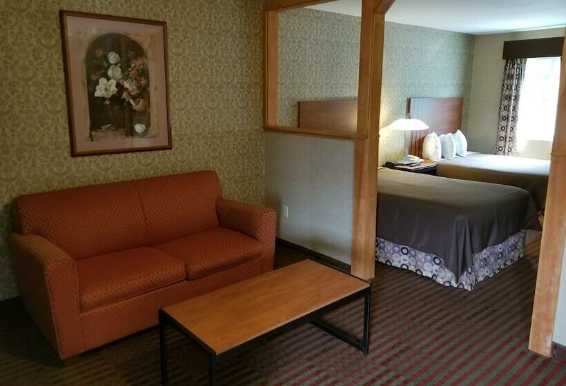 스위트, All Seasons Inn & Suites