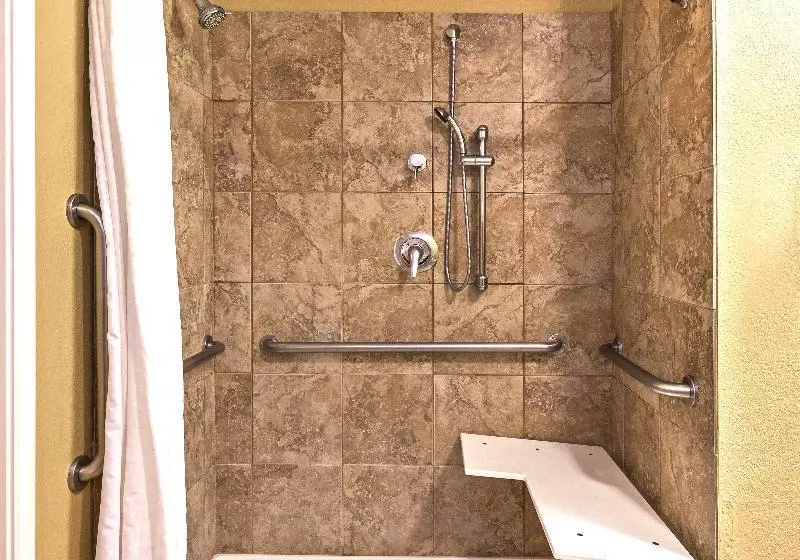 身障者適用スイートルーム, Candlewood Suites Pearland, An Ihg