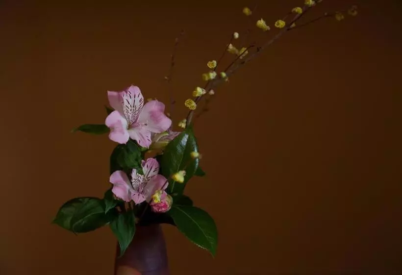 スーペリアールーム, Matsudaya