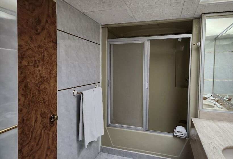 جناح رئاسى, Real Del Sur