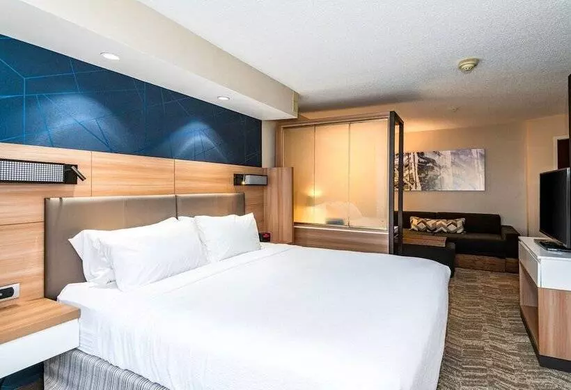 スイート, Springhill Suites Dayton South/miamisburg