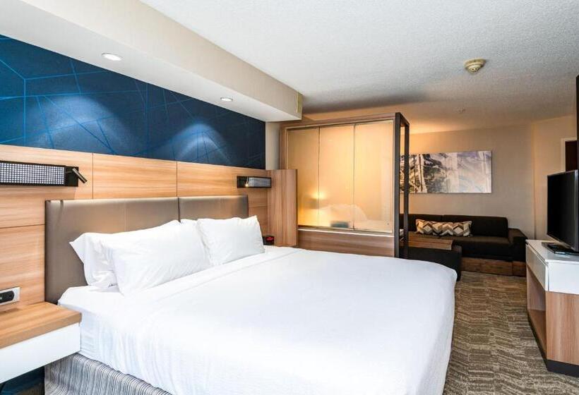 キングサイズベッドのスイートルーム, Springhill Suites Dayton South/miamisburg