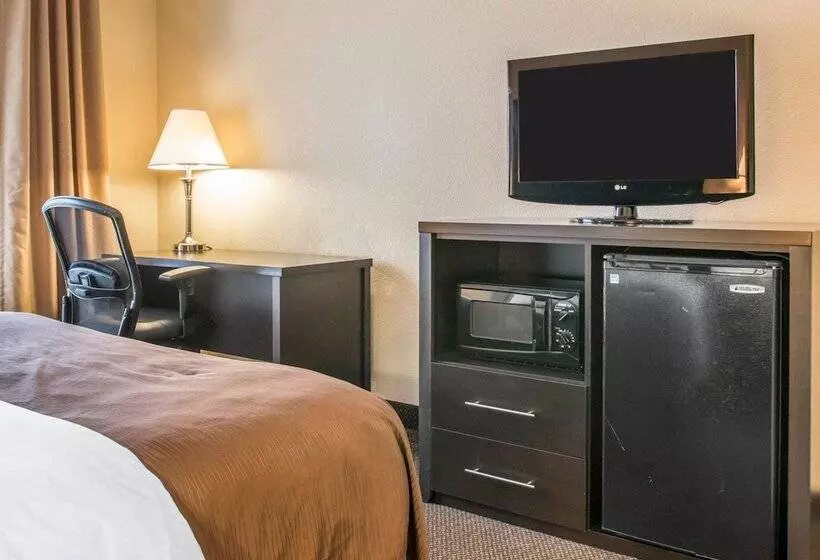 キングサイズベッドのスイートルーム, Quality Inn & Suites Niles