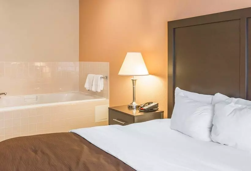 キングサイズベッドのスイートルーム, Quality Inn & Suites Niles