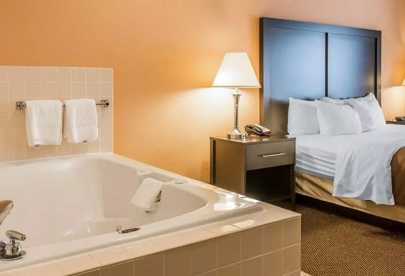 キングサイズベッドのスイートルーム, Quality Inn & Suites Niles