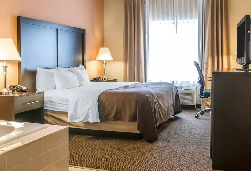 キングサイズベッドのスイートルーム, Quality Inn & Suites Niles