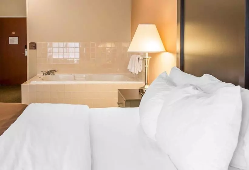 キングサイズベッドのスイートルーム, Quality Inn & Suites Niles