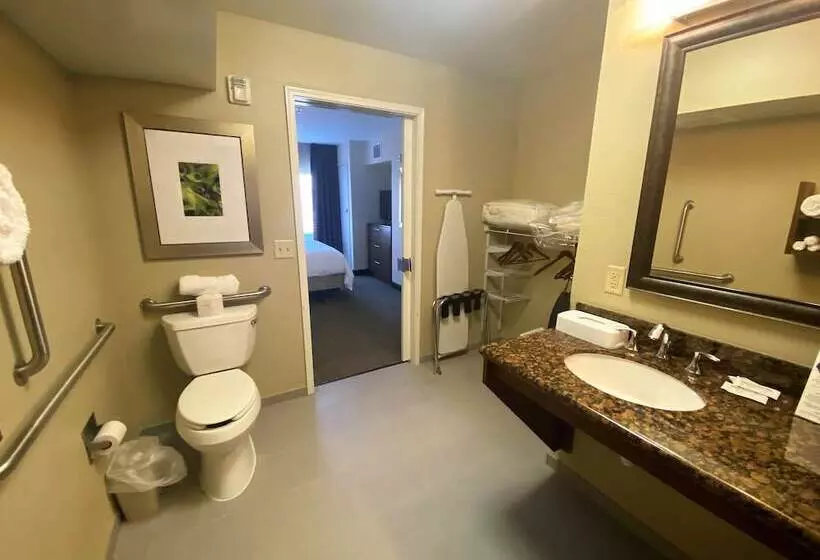 身障者適用スイートルーム, Staybridge Suites Great Falls, An Ihg