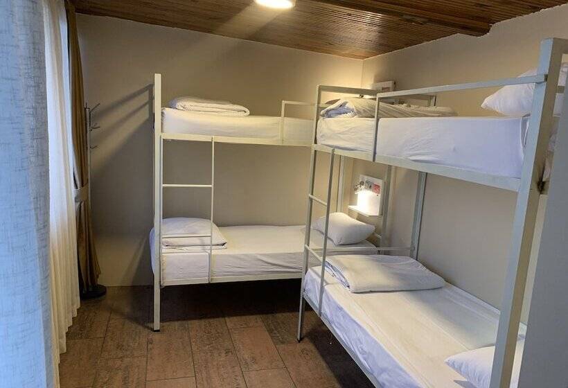 تختخواب در اتاق مشترک, Antique Hostel