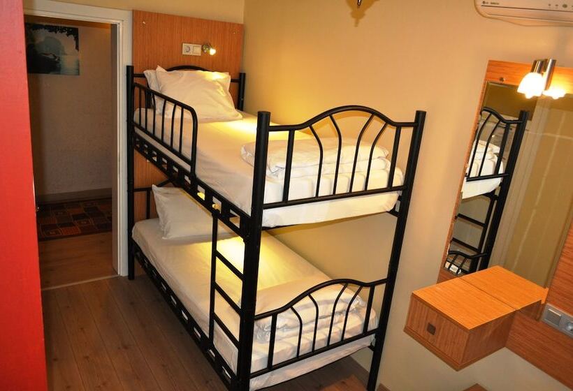 اتاق اکونومی, Antique Hostel