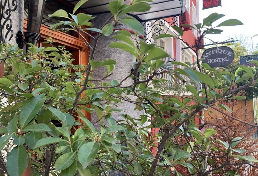 اتاق استاندارد, Antique Hostel