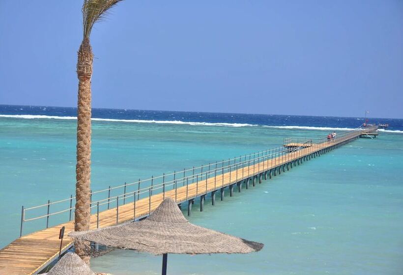 اتاق استاندارد با چشم‌انداز دریا, Blend Elphistone Resort Marsa Alam