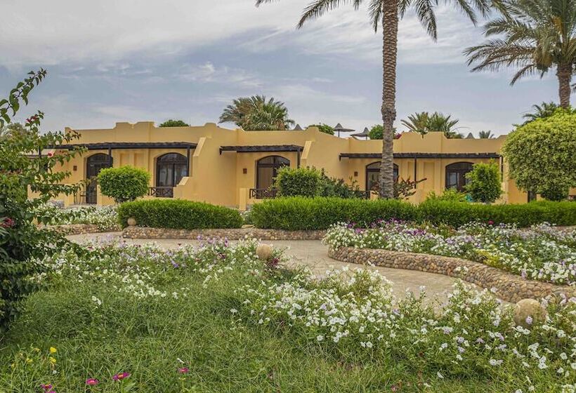 اتاق استاندارد سه تخته با چشم‌انداز باغ, Blend Elphistone Resort Marsa Alam