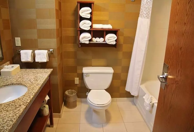 スタンダードルーム, Hampton Inn Detroit/auburn Hillsnorth