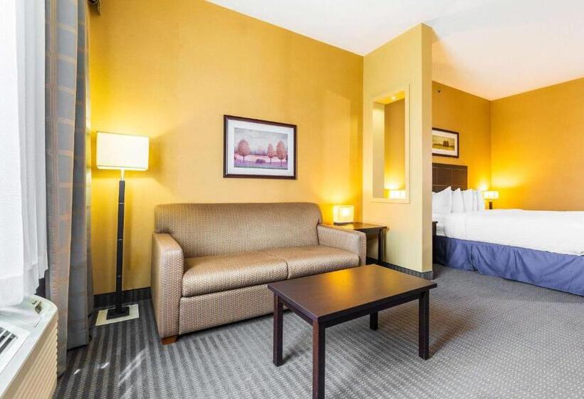 Стандартный Номер Кровать Кинг, Quality Inn & Suites Victoriaville