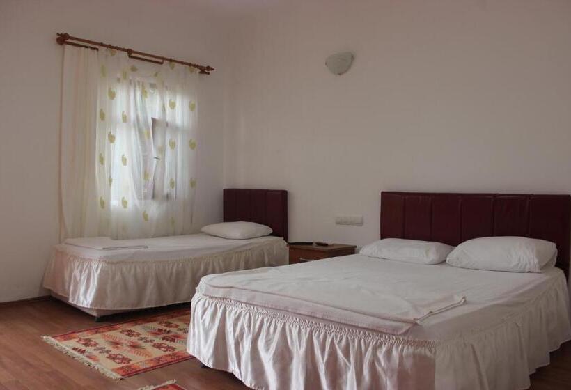 اتاق استاندارد, Alibaba Pension