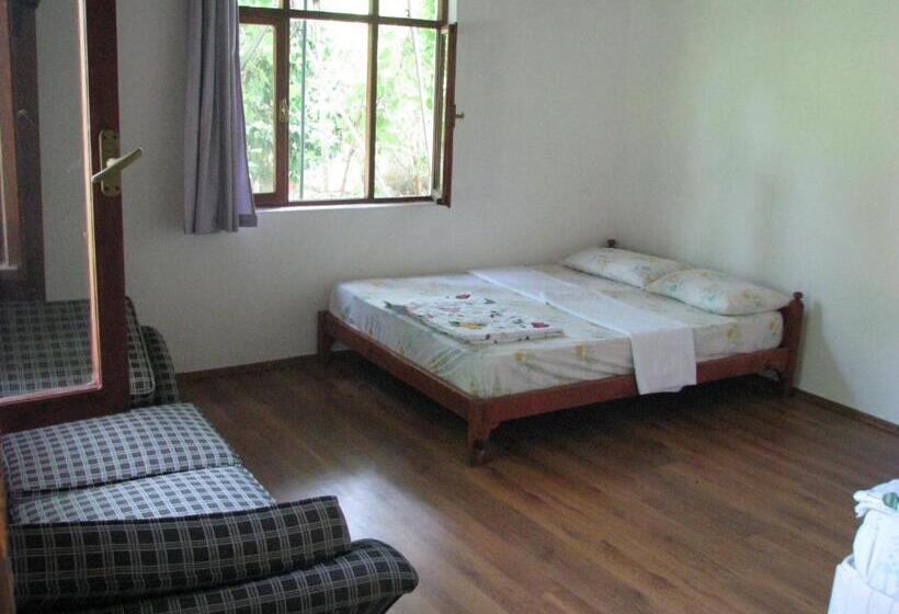 اتاق استاندارد, Alibaba Pension