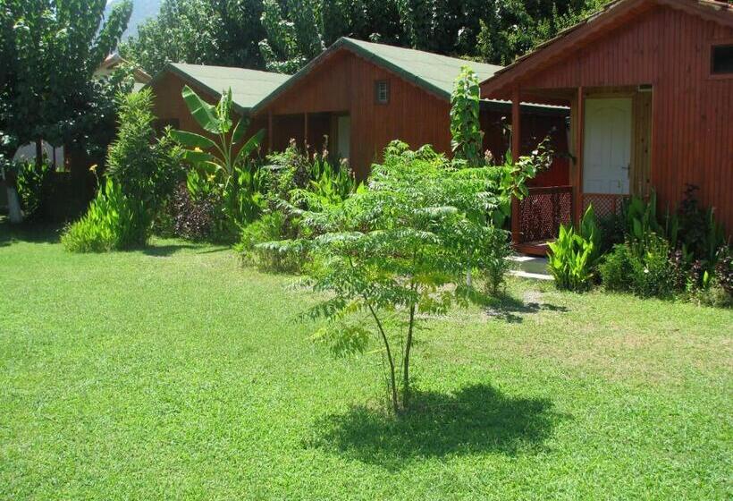 بانگلوی استاندارد, Alibaba Pension