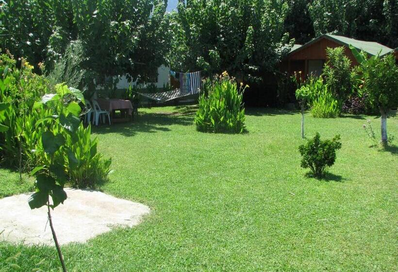 بانگلوی استاندارد, Alibaba Pension