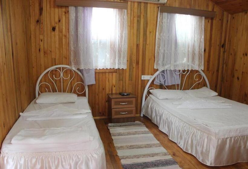 بانگلوی استاندارد, Alibaba Pension