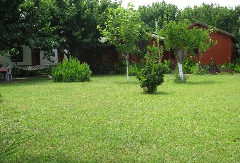 اتاق استاندارد سه نفره, Alibaba Pension