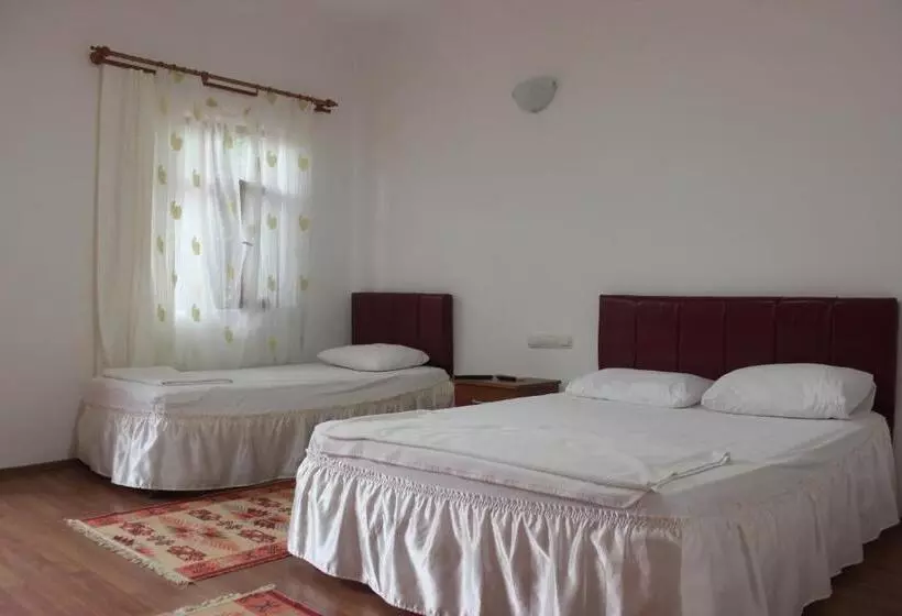 Standard Kolmen Hengen Huone, Alibaba Pension