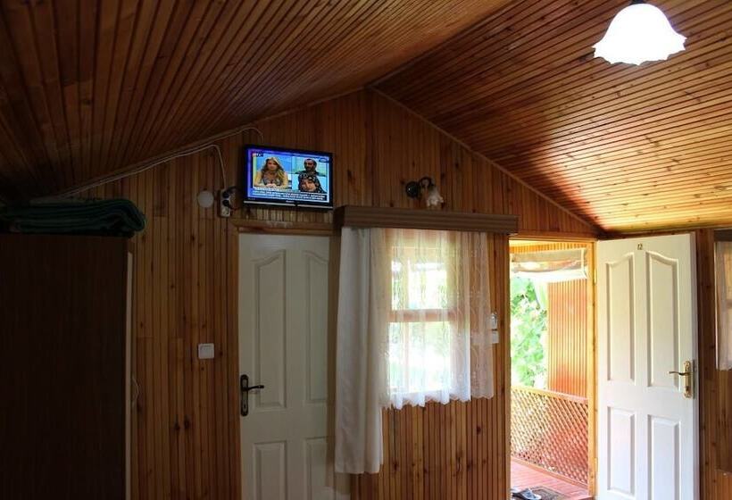 بانگلوی استاندارد, Alibaba Pension