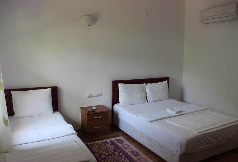 اتاق استاندارد, Alibaba Pension