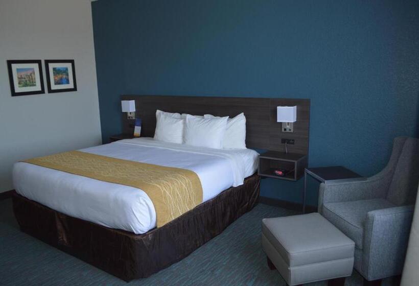 스탠다드 룸 킹사이즈 침대, Comfort Inn & Suites Selma Near Randolph Afb