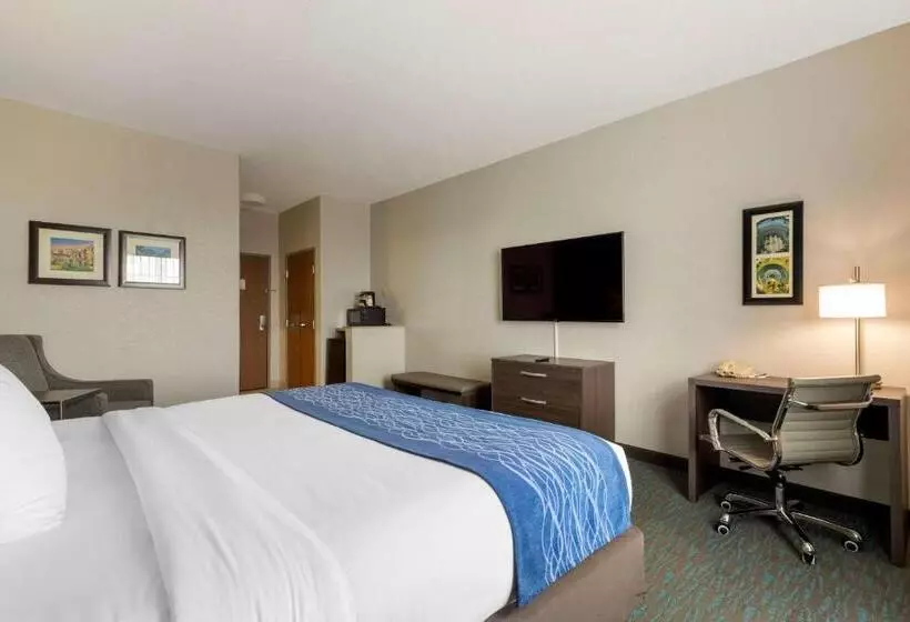 Standard-huone King-vuode, Comfort Inn & Suites Selma Near Randolph Afb