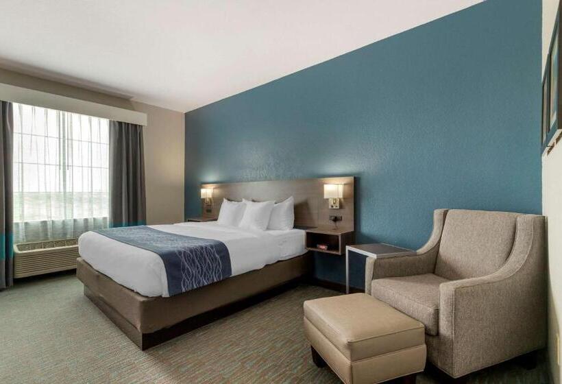 스탠다드 룸 킹사이즈 침대, Comfort Inn & Suites Selma Near Randolph Afb