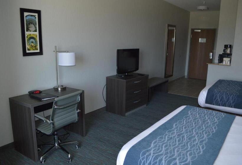 스탠다드 룸, Comfort Inn & Suites Selma Near Randolph Afb