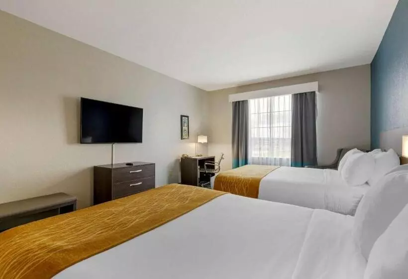 Standard-huone, Comfort Inn & Suites Selma Near Randolph Afb