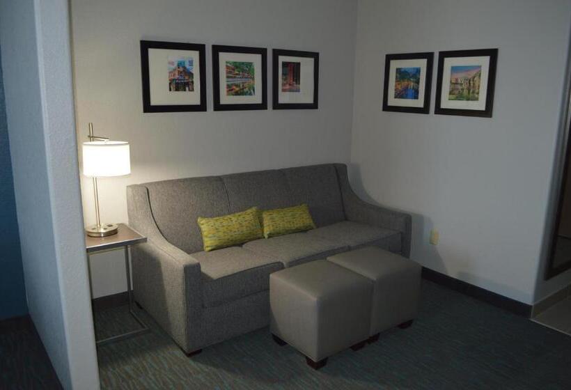 스위트 킹사이즈 침대, Comfort Inn & Suites Selma Near Randolph Afb