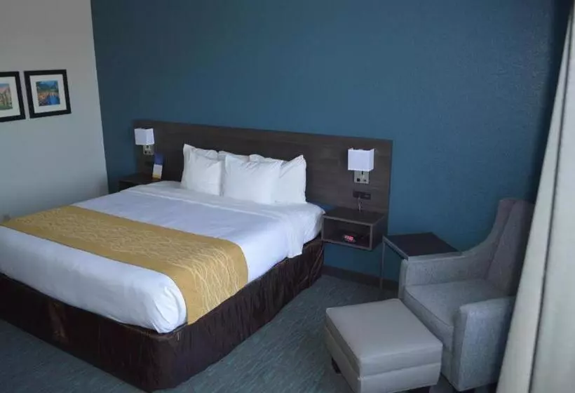 Standard-invahuone King-vuode, Comfort Inn & Suites Selma Near Randolph Afb