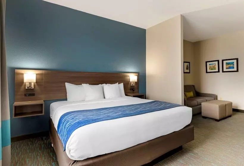 Sviitti Liikuntarajoitteisille, Comfort Inn & Suites Selma Near Randolph Afb