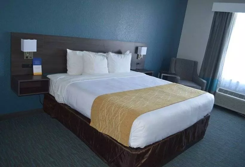 Sviitti Liikuntarajoitteisille, Comfort Inn & Suites Selma Near Randolph Afb
