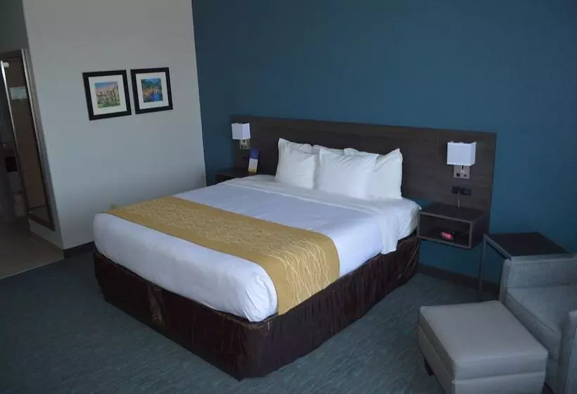 Sviitti Liikuntarajoitteisille, Comfort Inn & Suites Selma Near Randolph Afb