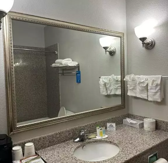 Standard-invahuone King-vuode, Days Inn By Wyndham Copperas Cove