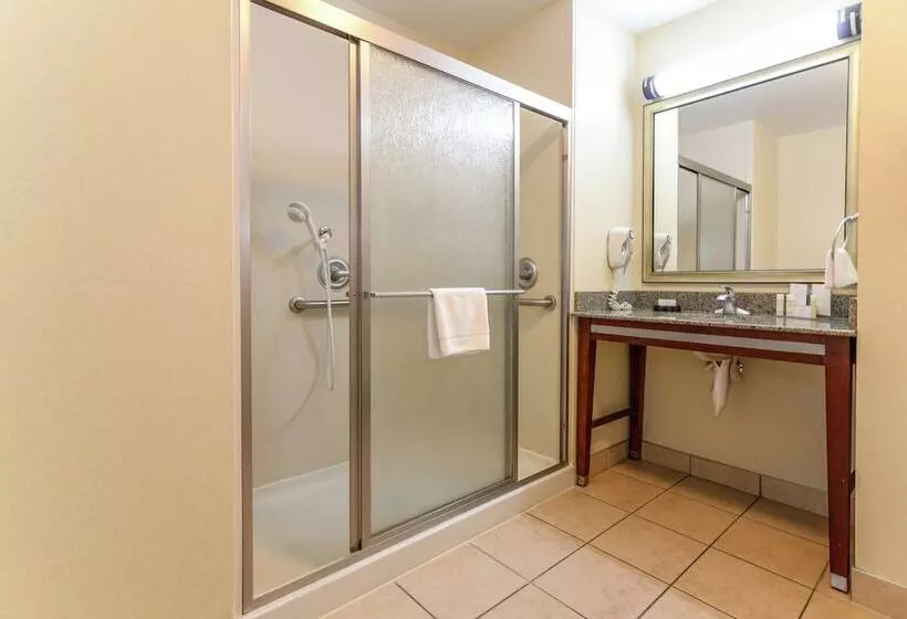 スタンダードルーム, Hampton Inn & Suites Detroit/chesterfield Township