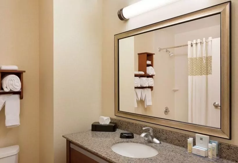スタンダードルーム, Hampton Inn & Suites Detroit/chesterfield Township