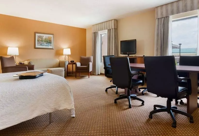 スタンダードルーム, Hampton Inn & Suites Detroit/chesterfield Township