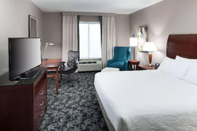 Standard-huone King-vuode, Hilton Garden Inn Frisco